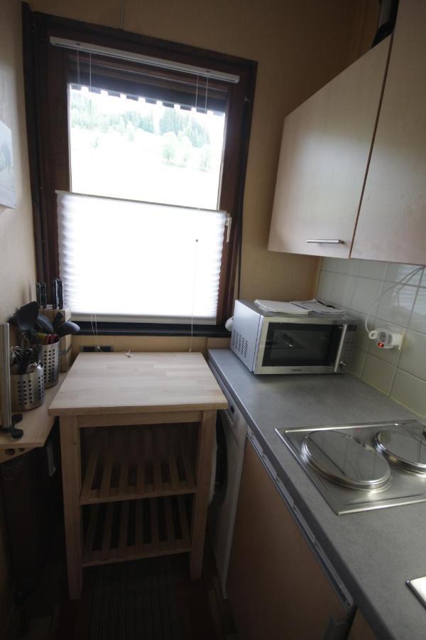 Muhlbach 345B Apartment Muhlbach Am Hochkonig Luaran gambar